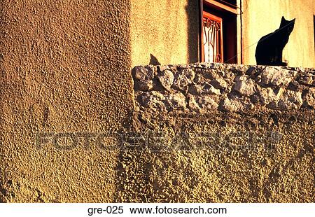 Cat Sitting on an Athens Wall View Large Photo Image Stock Photography - Cat Sitting on an Athens Wall. Fotosearch