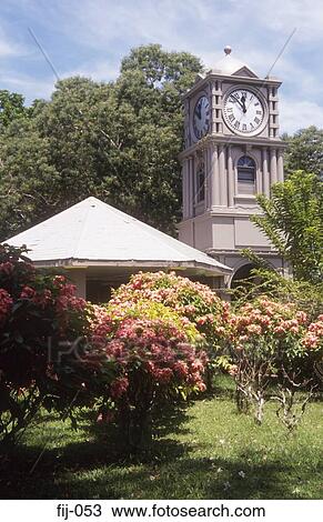 Clock Tower Fiji Museum Suva Fiji View Large Photo Image Stock Image - Clock Tower Fiji Museum Suva Fiji. Fotosearch