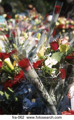 Collection of Cut Flowers Lourdes France View Large Photo Image Stock Image - Collection of Cut Flowers Lourdes France. Fotosearch