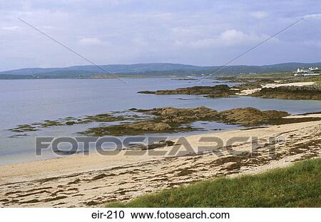 Coral Beach at Bally Conneely Ireland View Large Photo Image Stock Image - Coral Beach at Bally Conneely Ireland. Fotosearch