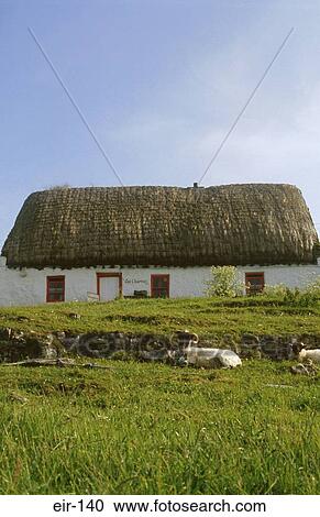 Stock Image - Cottage in Inishmore Aran Islands Ireland. Fotosearch