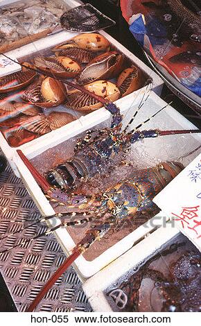 Crawfish on Display at Hong Kong Fish Market View Large Photo Image Stock Photography - Crawfish on Display at Hong Kong Fish Market. Fotosearch