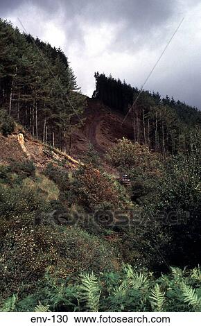 Stock Image - Deforested Area Wales UK. Fotosearch