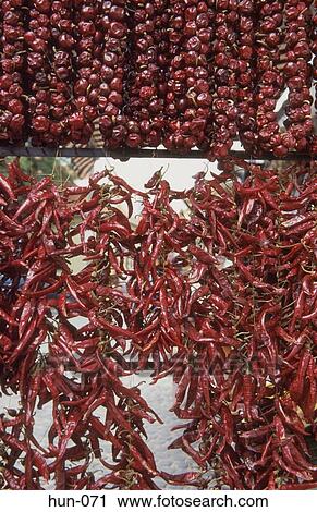 Display of Paprika Szentendre Hungary View Large Photo Image Stock Image - Display of Paprika Szentendre Hungary. Fotosearch
