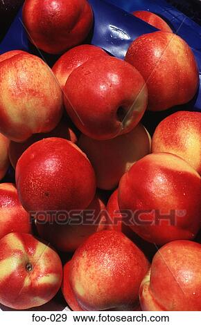 Display of Peaches View Large Photo Image Stock Photo - Display of Peaches. Fotosearch