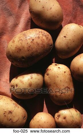 Display of Potatoes View Large Photo Image Stock Photography - Display of Potatoes. Fotosearch