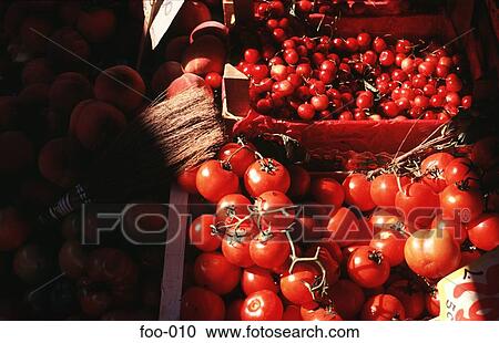 Display Of Tomatoes In Sunlight Red Italy View Large Photo Image Stock Image - Display Of Tomatoes In Sunlight Red Italy. Fotosearch