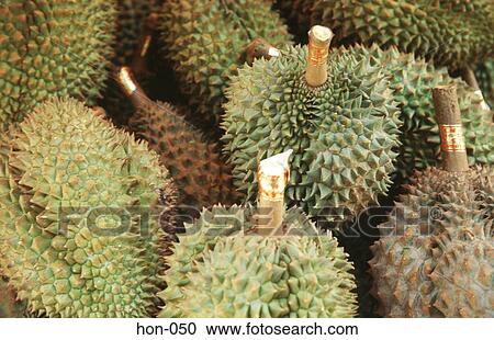 Durian Fruit on Market Stall Hong Kong View Large Photo Image Stock Image - Durian Fruit on Market Stall Hong Kong. Fotosearch