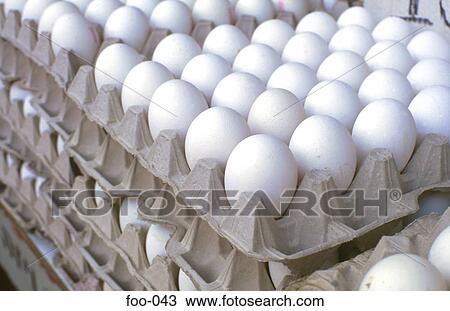 Eggs in Egg Boxes View Large Photo Image Stock Image - Eggs in Egg Boxes. Fotosearch