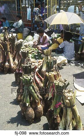 Stock Photo - Exotic Fruit Municipal Market Fiji. Fotosearch