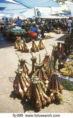Exotic Fruit Municipal Market Fiji View Large Photo Image Stock Photo - Exotic Fruit Municipal Market Fiji. Fotosearch