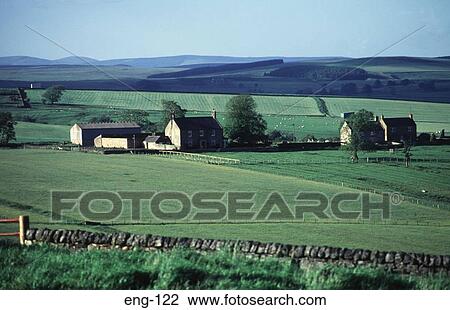Farmhouse set in Countryside Northumberland England View Large Photo Image Stock Image - Farmhouse set in Countryside Northumberland England. Fotosearch