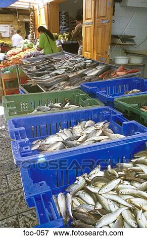 Fish in Boxes on Market Stall View Large Photo Image Stock Photo - Fish in Boxes on Market Stall. Fotosearch