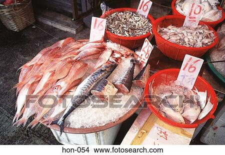 Picture - Fish on Hong Kong Market Stall. Fotosearch