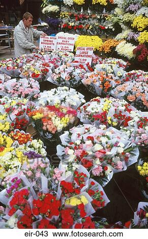 Flower Stall Moore Street Market Dublin View Large Photo Image Stock Image - Flower Stall Moore Street Market Dublin. Fotosearch