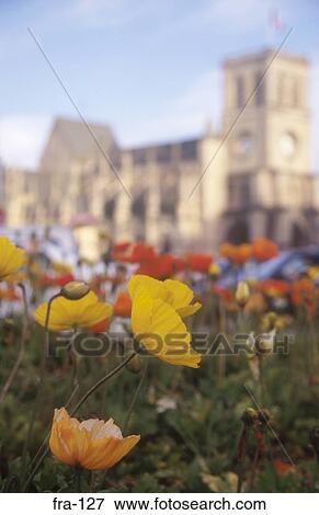 Flowers France View Large Photo Image Stock Photo - Flowers France. Fotosearch