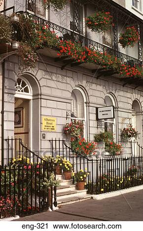 Stock Image - Flowers Outside Weymouth Guesthouse Dorset. Fotosearch