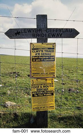 Foot and Mouth Restriction Sign UK View Large Photo Image Stock Image - Foot and Mouth Restriction Sign UK. Fotosearch