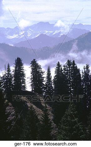 Forest and Mountain Landscape Bavarian Alps Germany View Large Photo Image Stock Photograph - Forest and Mountain Landscape Bavarian Alps Germany. Fotosearch