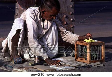 Fortune Telling Parrot and Handler Calcutta India View Large Photo Image Stock Image - Fortune Telling Parrot and Handler Calcutta India. Fotosearch