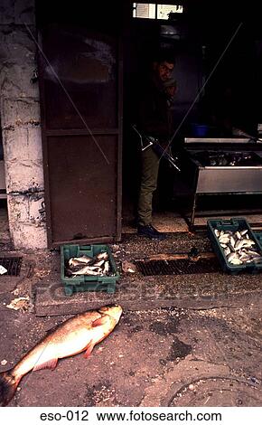 Israeli Soldier in Fishmongers View Large Photo Image Stock Image - Israeli Soldier in Fishmongers. Fotosearch