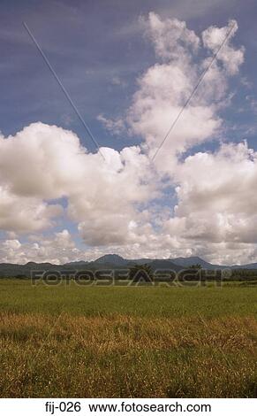 Landscape the Coral Coast Fiji View Large Photo Image Stock Photograph - Landscape the Coral Coast Fiji. Fotosearch