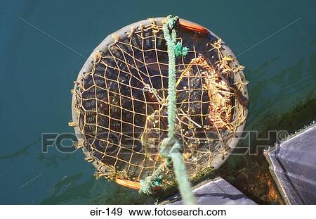 Lobster Pot being Raised Ireland View Large Photo Image Stock Photo - Lobster Pot being Raised Ireland. Fotosearch