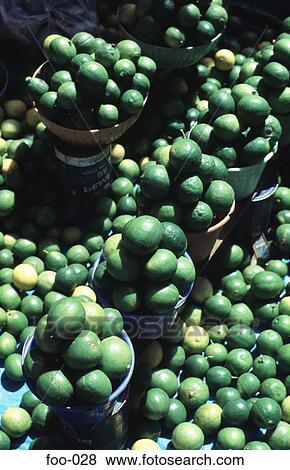 Market Display of Limes Mexico View Large Photo Image Stock Photo - Market Display of Limes Mexico. Fotosearch