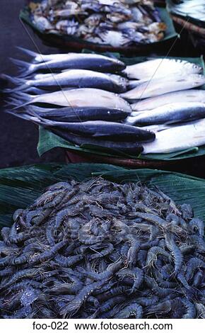 Market Display Seafood Philippines View Large Photo Image Stock Image - Market Display Seafood Philippines. Fotosearch