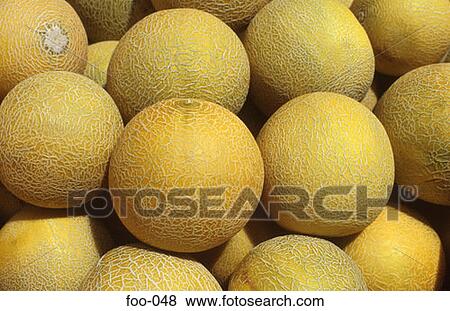 Melons on Market Stall View Large Photo Image Stock Photo - Melons on Market Stall. Fotosearch