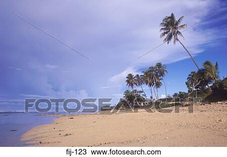 Naviti Beach Fiji View Large Photo Image Stock Image - Naviti Beach Fiji. Fotosearch