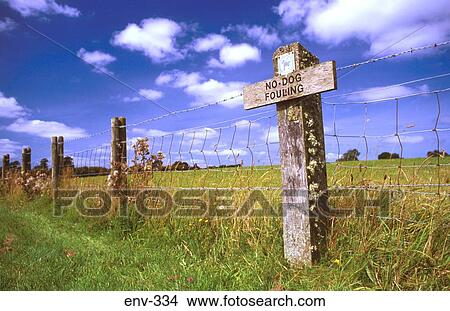 No Dog Fouling Sign on Fence Post Wales UK View Large Photo Image Picture - No Dog Fouling Sign on Fence Post Wales UK. Fotosearch