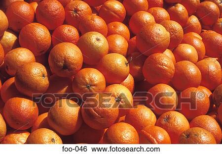 Oranges on Market Stall View Large Photo Image Stock Photograph - Oranges on Market Stall. Fotosearch