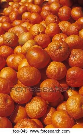Oranges on Market Stall View Large Photo Image Stock Photography - Oranges on Market Stall. Fotosearch