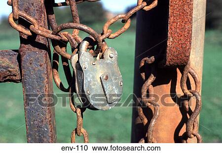 Padlocked Rusting Gate UK View Large Photo Image Stock Image - Padlocked Rusting Gate UK. Fotosearch