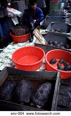 Quingping Food Market Canton China View Large Photo Image Picture - Quingping Food Market Canton China. Fotosearch