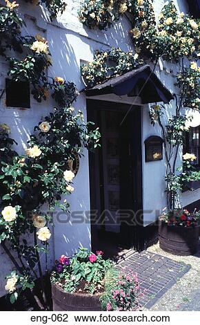 Rose Covered Entrance to Pub Berkshire England UK View Large Photo Image Stock Image - Rose Covered Entrance to Pub Berkshire England UK. Fotosearch