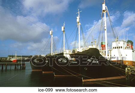 Row of Four Similar Ships at Quay Reykjavik Iceland View Large Photo Image Stock Photo - Row of Four Similar Ships at Quay Reykjavik Iceland. Fotosearch