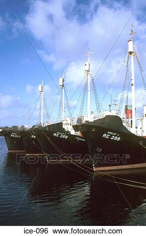 Row of Four Similar Ships at Quay Reykjavik Iceland View Large Photo Image Stock Photograph - Row of Four Similar Ships at Quay Reykjavik Iceland. Fotosearch