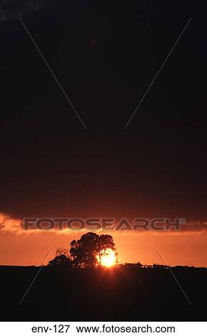 Silhouetted Trees UK View Large Photo Image Stock Photo - Silhouetted Trees UK. Fotosearch