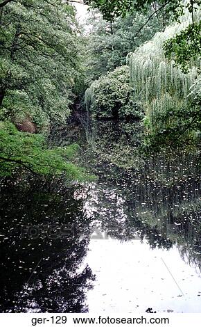 Still Pond Surrounded By Trees Berlin Zoo Germany View Large Photo Image Stock Photo - Still Pond Surrounded By Trees Berlin Zoo Germany. Fotosearch