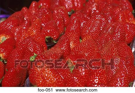 Strawberries on Display on Market Stall View Large Photo Image Stock Image - Strawberries on Display on Market Stall. Fotosearch