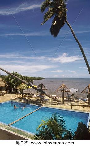 Swimming Pool and Leaning Palms Seashell Cove Fiji View Large Photo Image Stock Photo - Swimming Pool and Leaning Palms Seashell Cove Fiji. Fotosearch