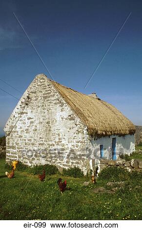 Thatched Cottage with Chickens View Large Photo Image Stock Photo - Thatched Cottage with Chickens. Fotosearch