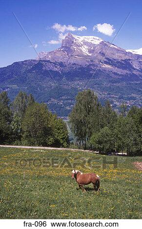 The Alps at Megere France View Large Photo Image Stock Photograph - The Alps at Megere France. Fotosearch