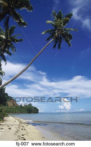 The Coral Coast Fiji View Large Photo Image Stock Photo - The Coral Coast Fiji. Fotosearch