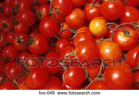 Tomatoes on Market Stall View Large Photo Image Stock Photo - Tomatoes on Market Stall. Fotosearch