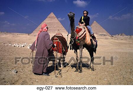 Tourist and Egyptian with Camels Egypt Africa View Large Photo Image Stock Photo - Tourist and Egyptian with Camels Egypt Africa. Fotosearch