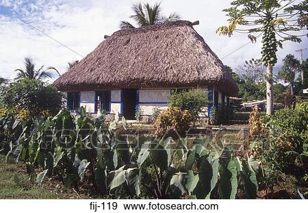 Traditional Bure Seashell Cove Fiji View Large Photo Image Stock Photo - Traditional Bure Seashell Cove Fiji. Fotosearch