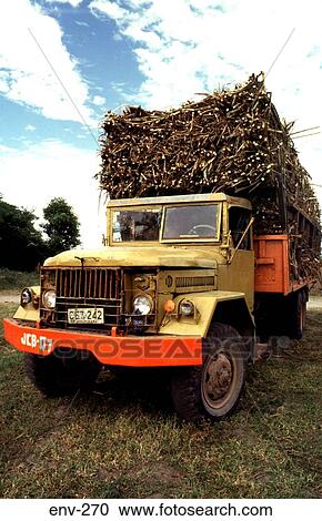 Truck Loaded With Sugar Cane Philippines View Large Photo Image Stock Image - Truck Loaded With Sugar Cane Philippines. Fotosearch